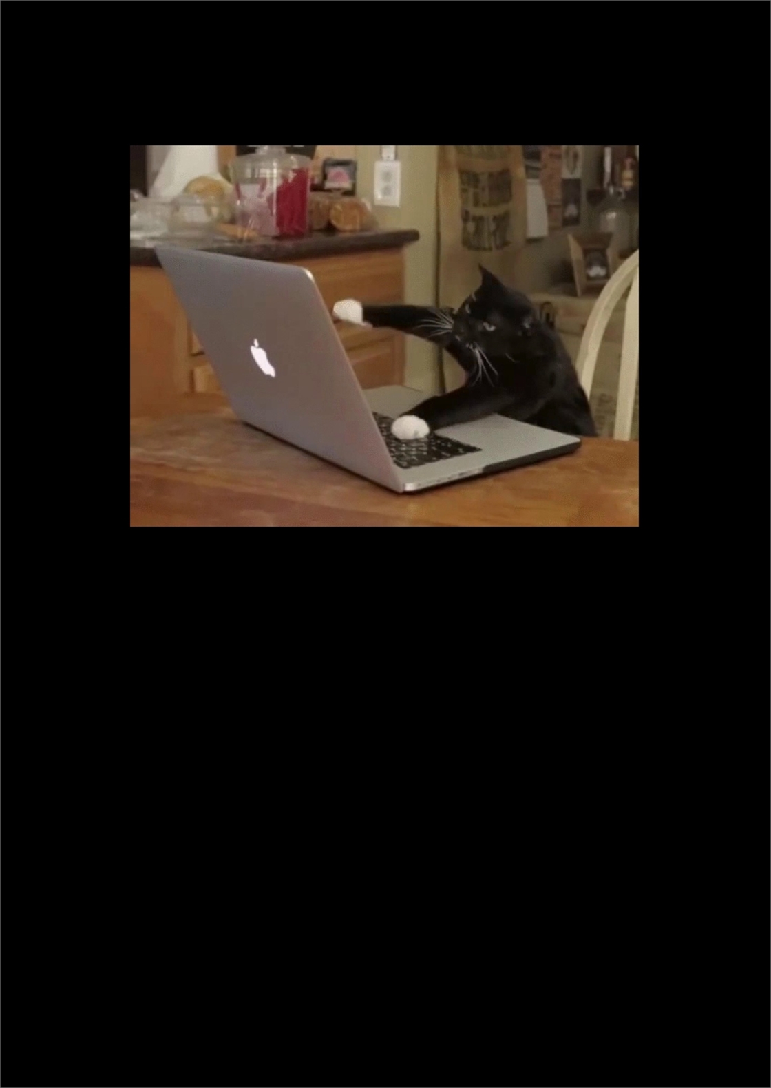 Студенческое портфолио / веб-паблишинг