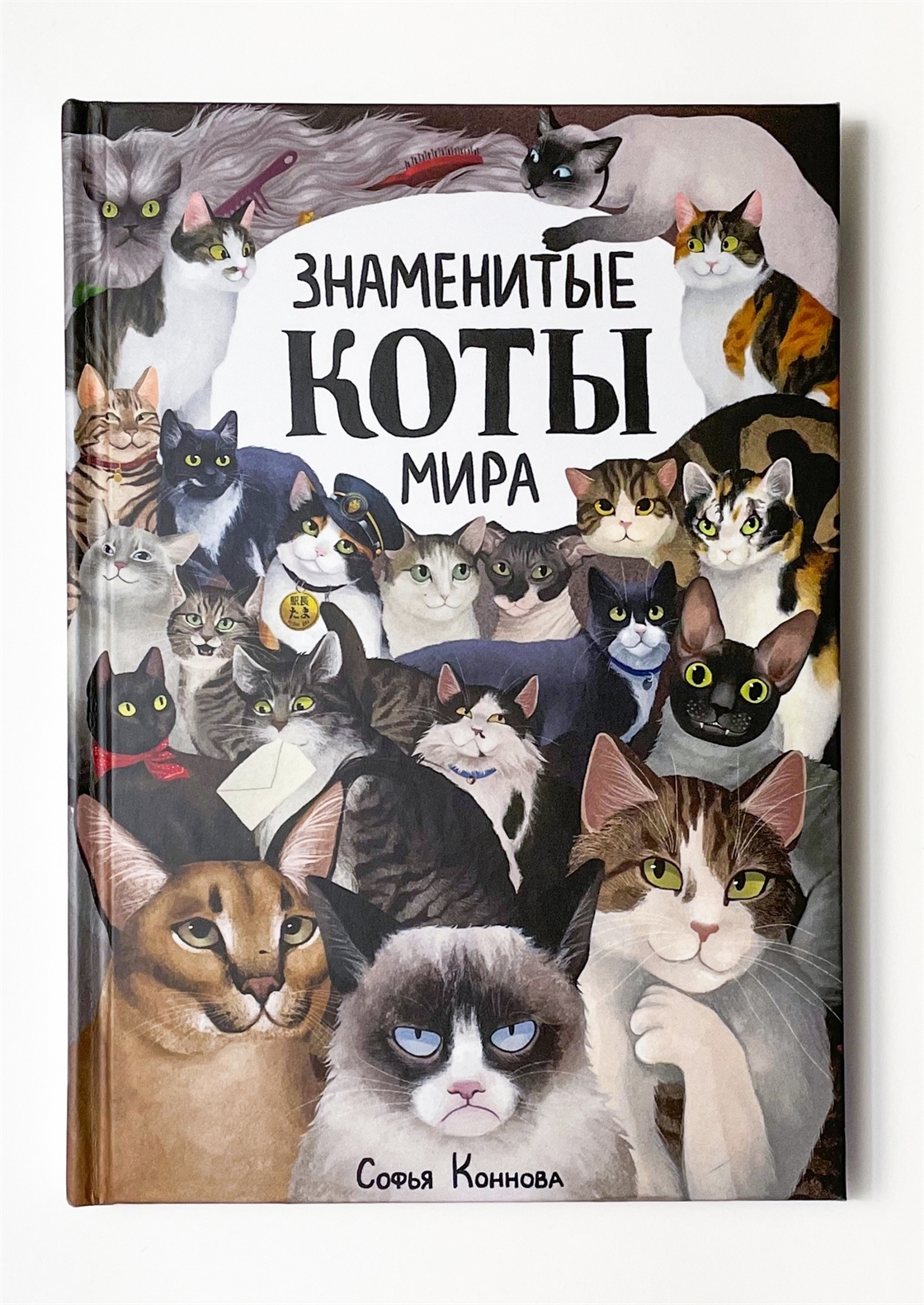 Мир котик. Знаменитые коты. Самые известные коты. Знаменитые книжные коты. Знаменитости с котиками.