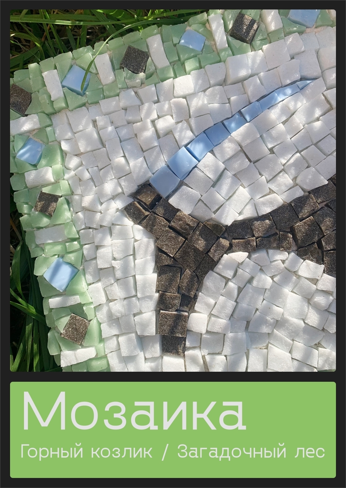 Студенческое портфолио / Мозаика / Горный козлик / Загадочный лес