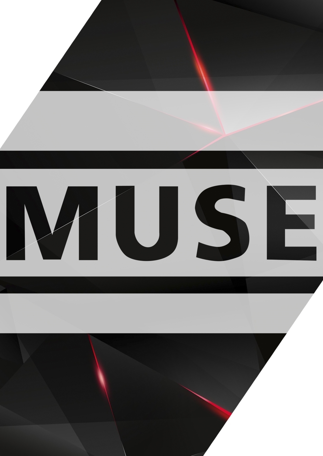 Студенческое портфолио / MUSE2