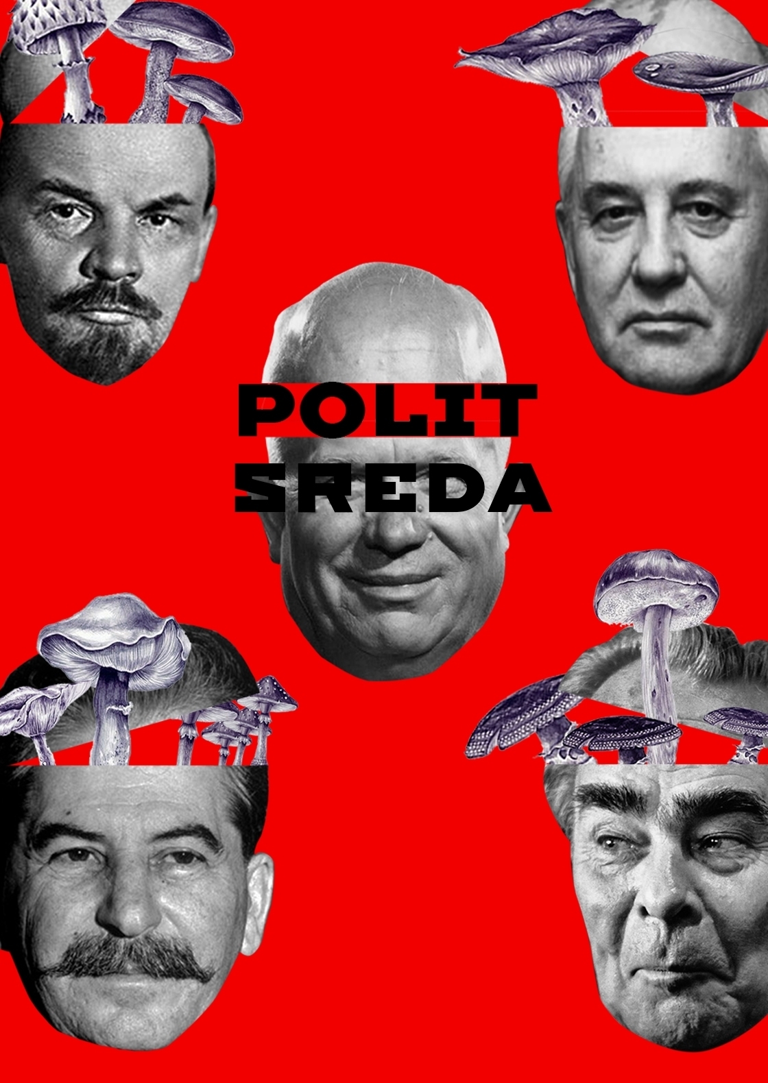 polit-sreda