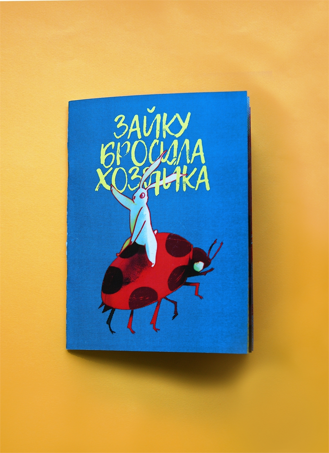 Что такое книжка картинка